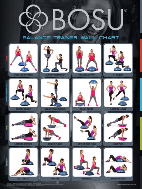 72 10869 DL BOSU Balance Trainer Wall Chart REV3 | PDF