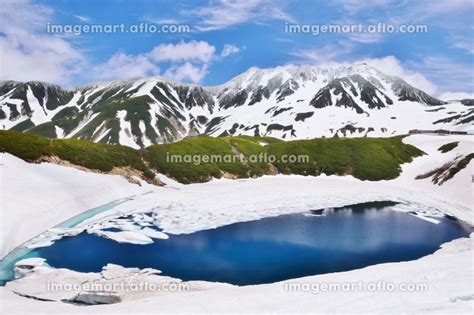 雪解けのみくりが池 北アルプス 立山連峰の写真素材 213043868 イメージマート