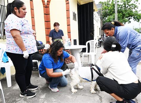 Conocé el cronograma de Vacunación Antirrábica en Jujuy - Somos Jujuy