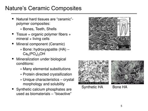 Ppt Ceramic Biomaterials Bioceramics Powerpoint Presentation Id