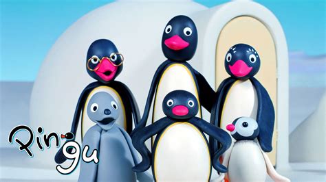 Watch Pingu · Season 5 Full Episodes Online Plex