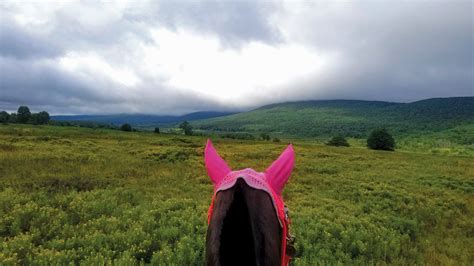 Equine Escape West Virginia By Horseback Highland Outdoors