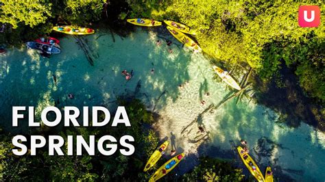 Outdoor Activities in Tampa Bay: 10+ Things to Do