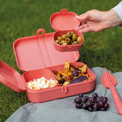 Koziol Pascal Ready Lunch Box Set With Klikk Cutlery Organic Connox