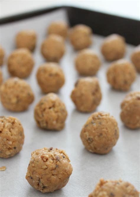 Peanut Butter & Coconut Protein Bites - The Crazy Craft Lady 
