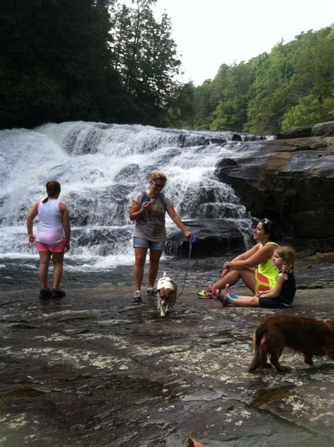 Se Permiten Perros En El Parque Estatal High Falls