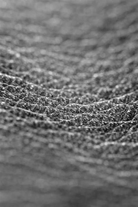 Leather Black And White Macro Photography Stock Image Image Of Black