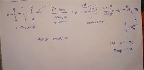 Solved What Is The Name Of The Primary Product Formed When