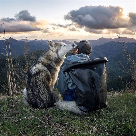 Il Est Tellement Adorable Cuuuuute Dresser Un Chien Chien