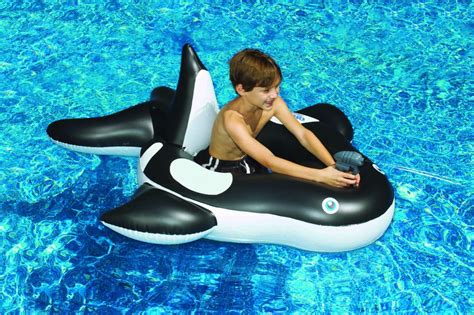 Swimline 90305 Orca Squirter Shop Valley Pool And Spa Games Activities Floats Rafts