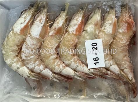 Smj 07390 White Prawn Hoso 16 20 Aa Ipoh Perak Malaysia Supplier