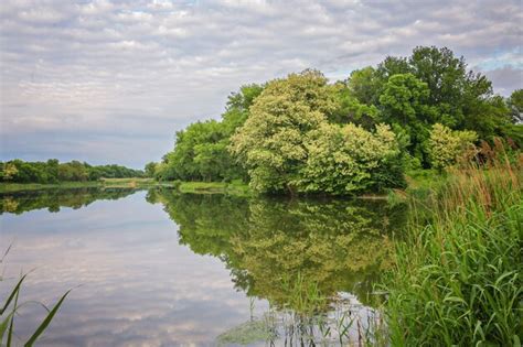 Premium Photo | Spring park lake in the spring park