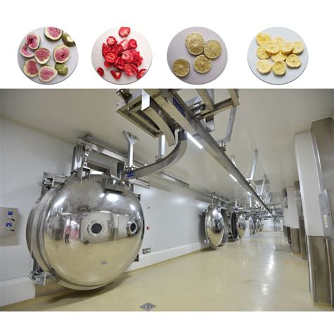 Commercial Lyophilizer Vacuum Freeze Dryer For Pet Food Fruit Vegetable