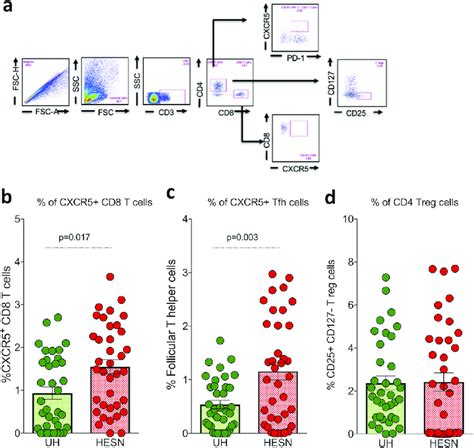 Mucosal Cxcr5 1 Cd8 1 T Cells T Follicular Helper Cells And Tregs A Download Scientific