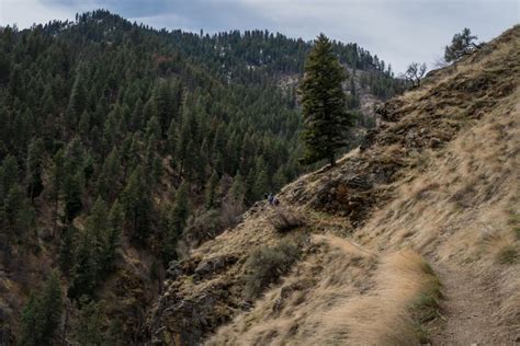 Hiking The Rapid River Trail In Riggins