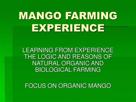 Ppt Mango Farming Experience Powerpoint Presentation Free Download