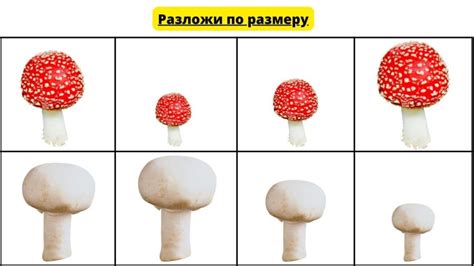 Дидактическая игра «Грибы»: цель, задачи, картотека