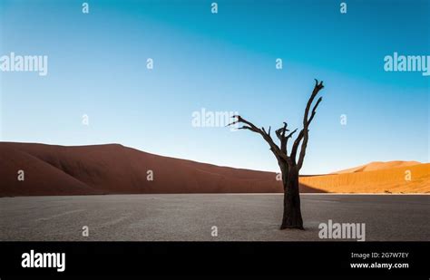 Namibian desert landscape scene Stock Videos & Footage - HD and 4K ...