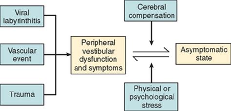 VESTIBULAR SYSTEM DISORDERS | Neupsy Key