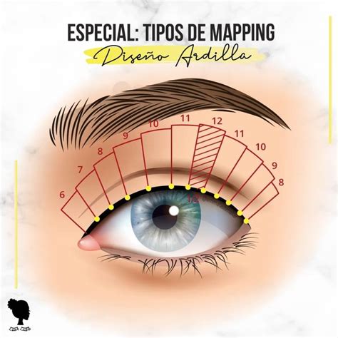 Tipos De Mapping De Pesta As Emma Lashmaker