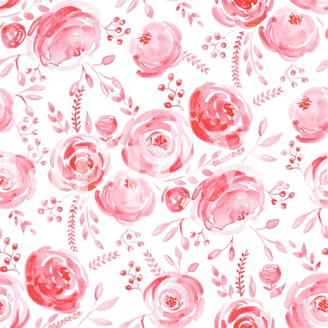 Watercolor Pink Roses Wallpaper | Happywall