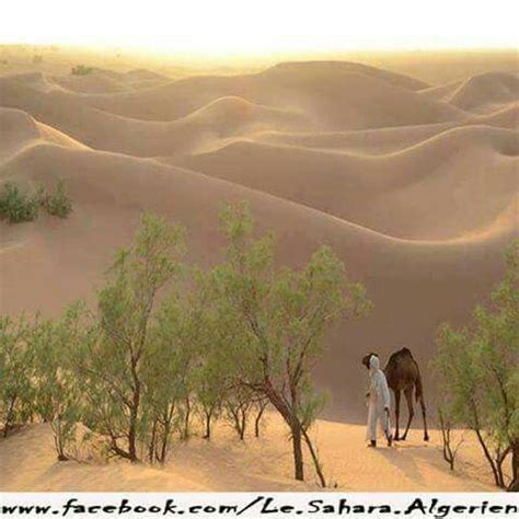 Voyage Chez Les Amazighes Sahara Algerien Desert Algerien Alger