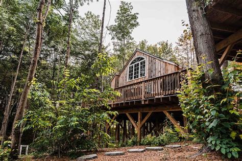 Treehouse rentals | Airbnb