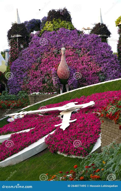 Dubai Miracle Garden Dubai United Arab Emirates Editorial Image