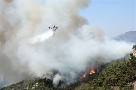 Dry spell leads to wildfires across South Korea | ABS-CBN News