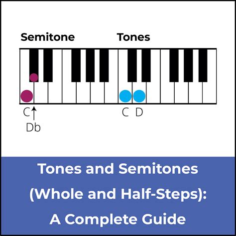 Tones And Semitones Whole And Half Steps A Musical Guide