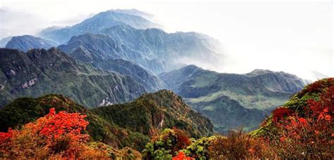 Mount Emei - Golden Temples on the Peak | ChinaFetching