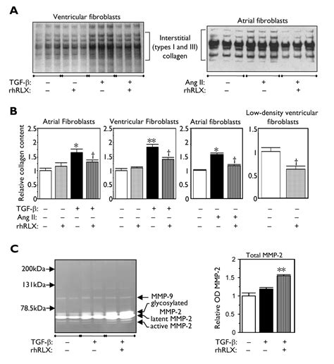 Relaxin Antifibrotic Properties And Effects In Models Of Disease