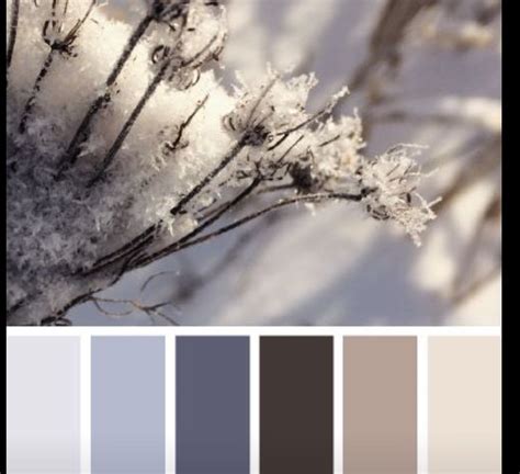 Pin By Marian Green On Colour Inspiration Design Seeds Color Palette