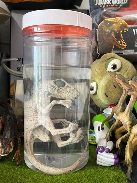 Jurassic Park Lab Embryo Velociraptor Hobbies And Toys Toys And Games On Carousell