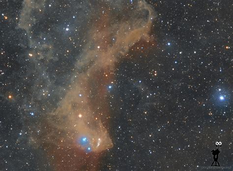 LBN 437 Nebulosa Del Gecko