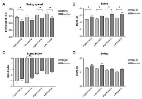 Catwalk Automated Gait Analysis Test Of TgHD And Littermate Control