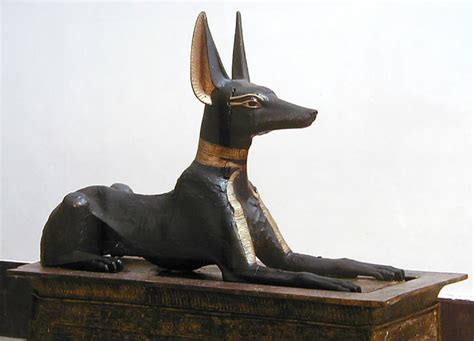 Anubis É Qual Animal - Deus egípcio da morte: conheça a origem de Anúbis - Aventuras na História