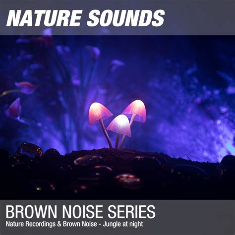 Nature Recordings & Brown Noise - Jungle at night | Nature Sounds