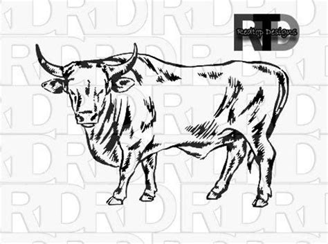 Bull Svg Cattle Svg Cows Svg Cutting Files For Silhouette Etsy