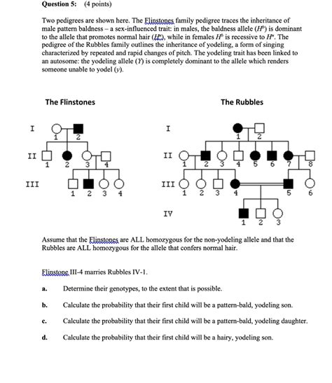 Solved Question Two Pedigrees Are Shown Here The Flintstones