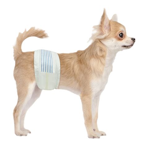 Bv Male Dog Wraps X Small 50 Counts Dog Diapers For Male Dogs Extra