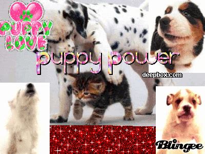 Puppy power! Picture #89968485 | Blingee.com