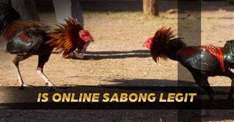 Online Sabong Rules | A Comprehensive Guide to Cockfighting