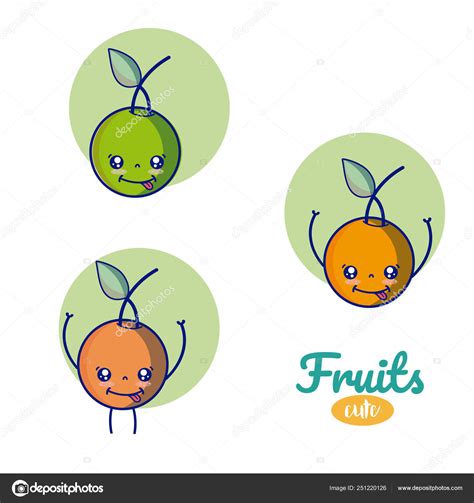 Oranges Cute Kawaii Fruits Cartoons Vector Illustration Graphic Design