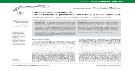 Infecci N Nosocomial Un Importante Problema De Salud A Pdf