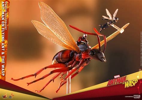 小心不要被鳥吃掉啦 Hot Toys MMSC004 蟻人與黃蜂女飛蟻上的蟻人與黃蜂女 Ant Man on Flying Ant and the Wasp 微型人偶套組
