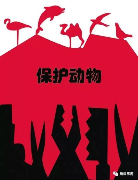 新津老碼頭丨國際野生生物攝影年賽展（全球巡展成都站）門票正式開售！ 每日頭條