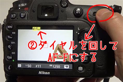 Nikon Howcang Web