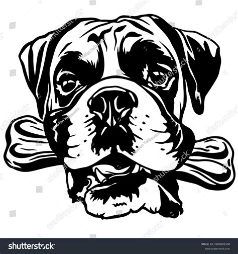 304 Dog With Black Ears Drawing Clipart Images, Stock Photos & Vectors ...