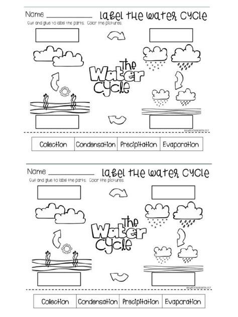 Water Cycle Worksheet | PDF